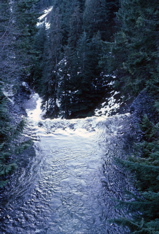 BranywineFalls11