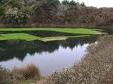 Super Green Pond 2