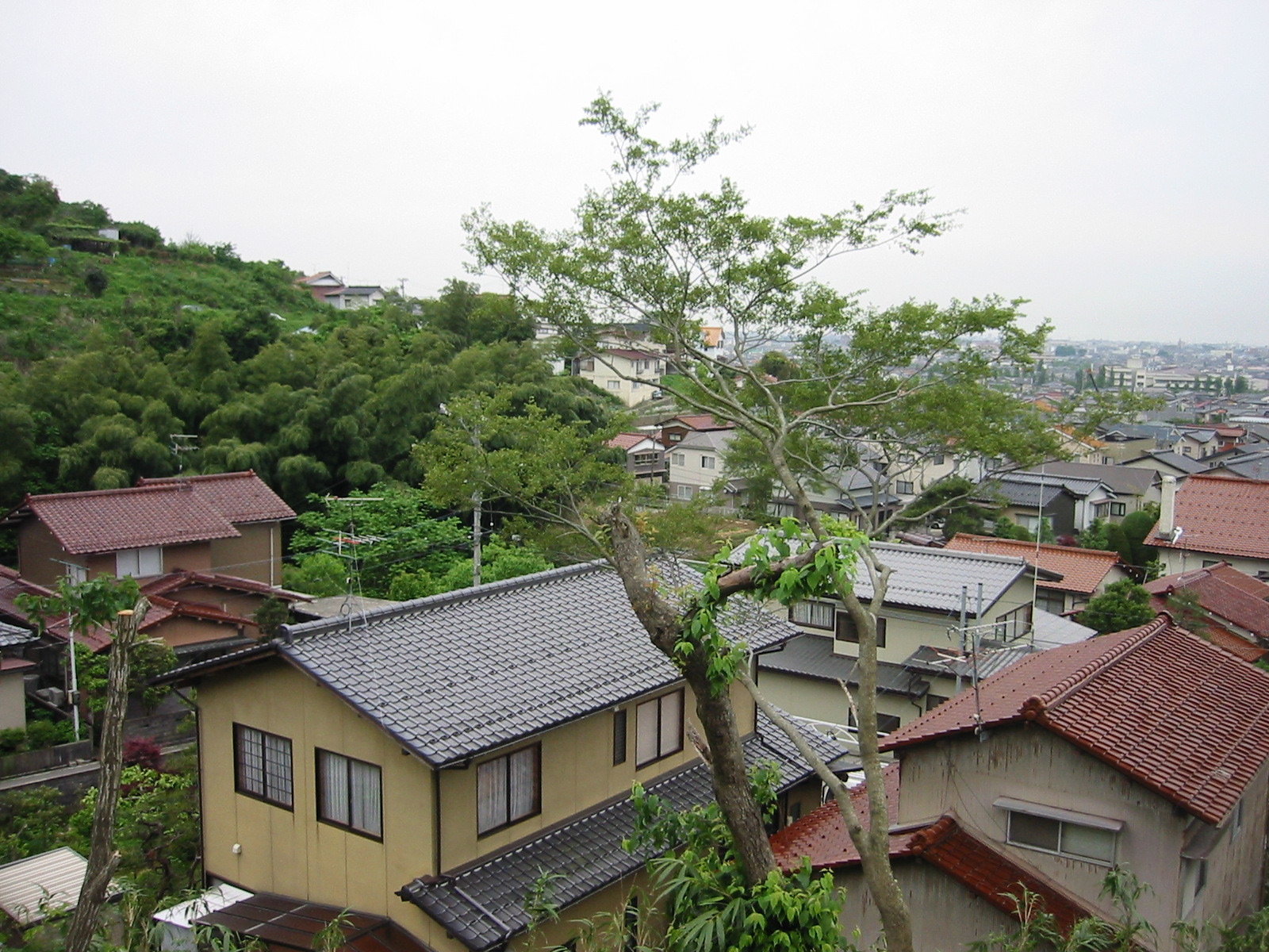 STA_0766.JPG