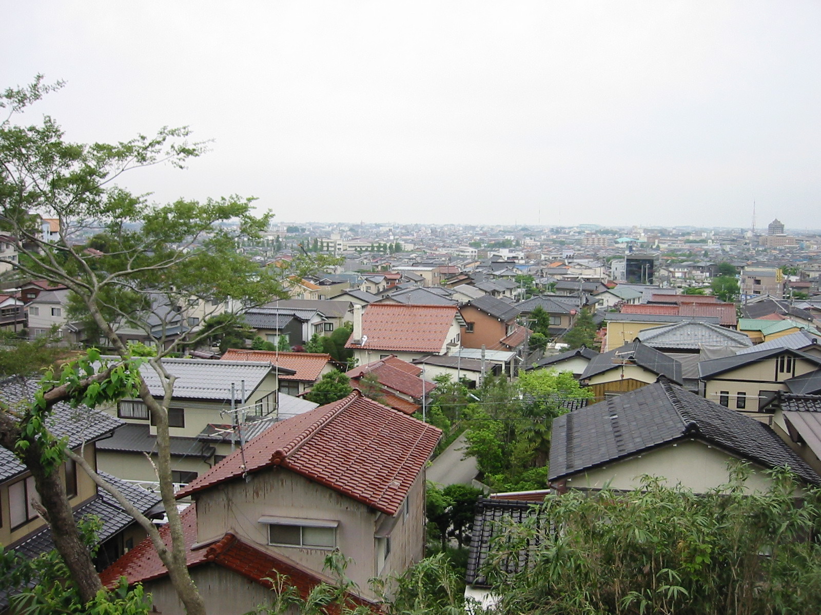 STB_0767.JPG