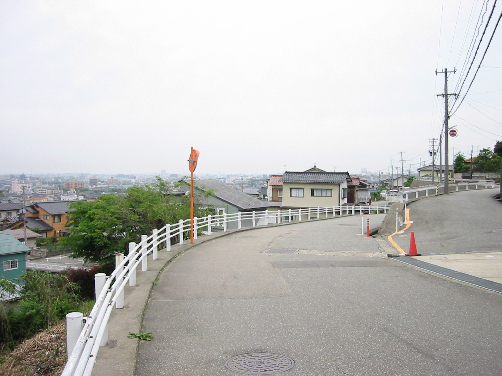 STE_0770.JPG