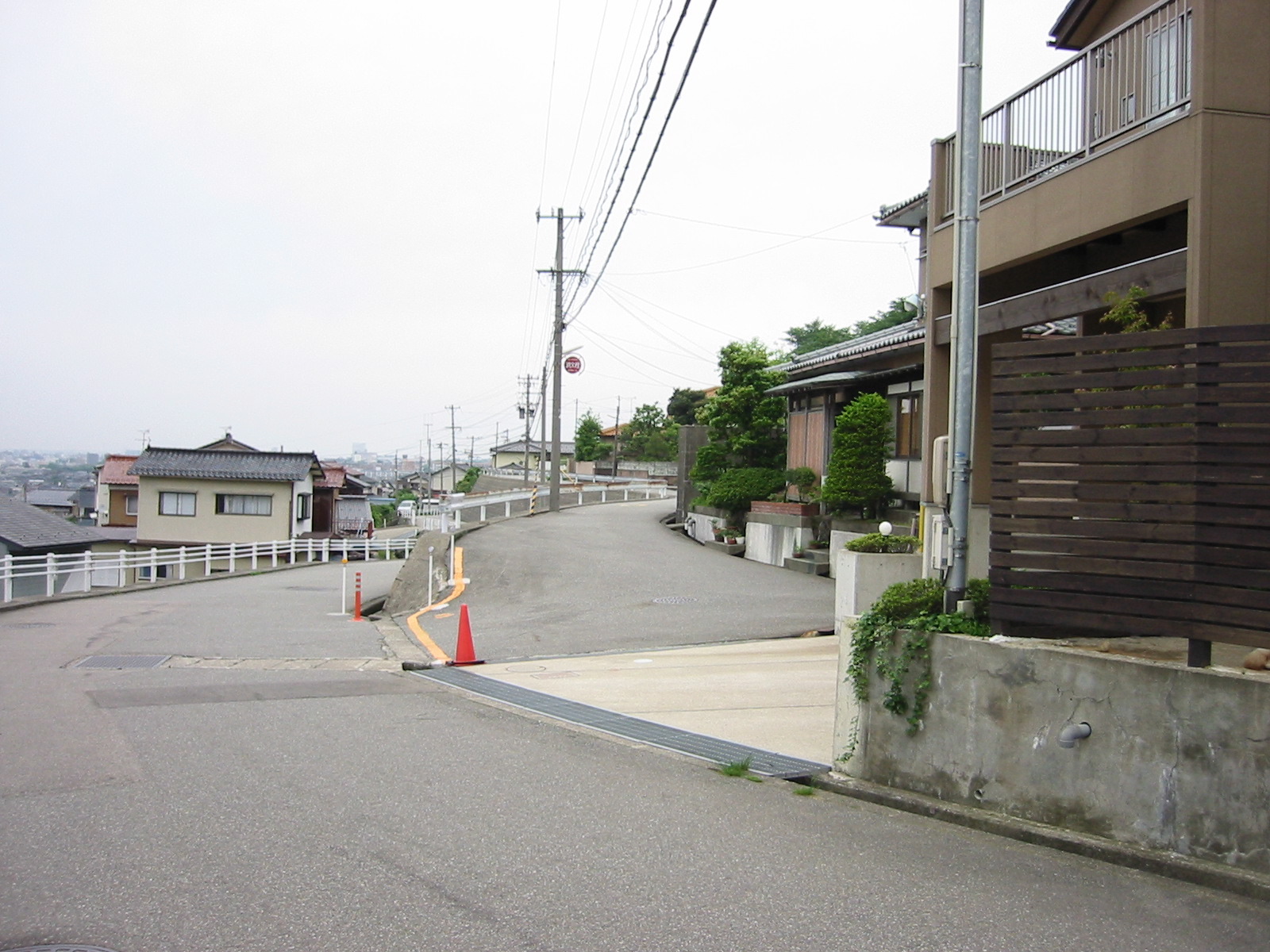 STF_0771.JPG