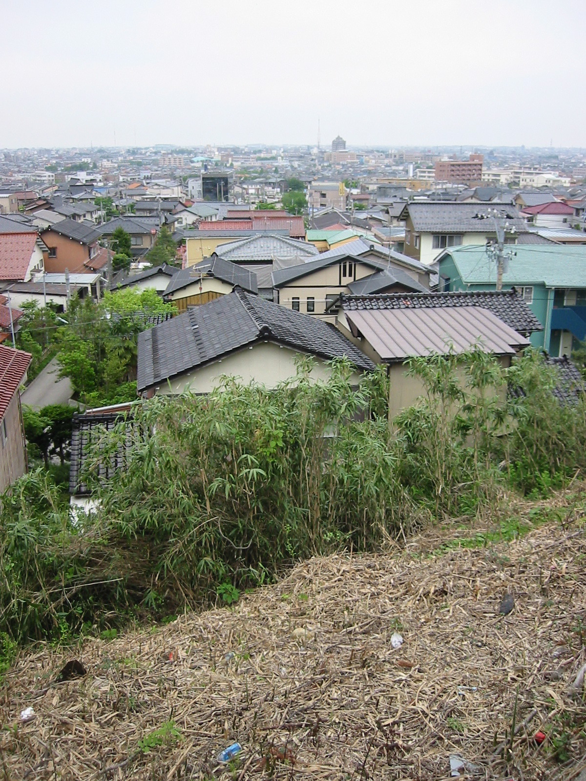 KanazawaView.jpg