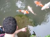 Matt goes for the carp nibble