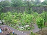 Trees inside the castle