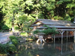 Teahouse pond and foliage