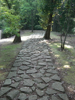Hachikuniyamaryokuchi Fancy Path