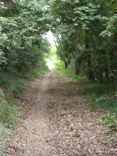 Sayama Dam Park 1