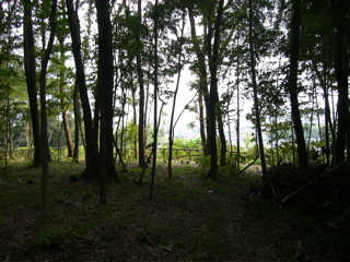 Tamako Trail View